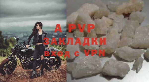 ешки Болотное