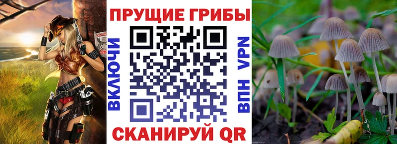 Псилоцибиновые грибы Cubensis  Верхоянск 